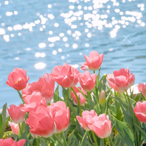 古巴裸交XXXⅩXXX
